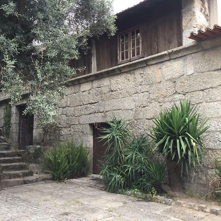 أمارانتي Havan House المظهر الخارجي الصورة