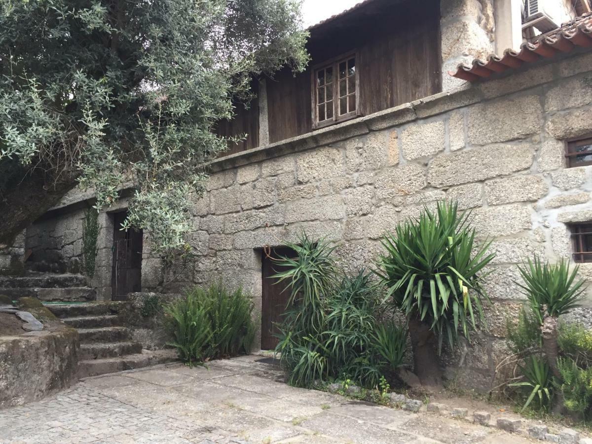 أمارانتي Havan House المظهر الخارجي الصورة